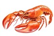 © Olena - Lobster Clipart. Fresh Meat from Grocery Butcher for Cute Food Eating Art