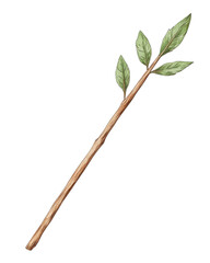Wall Mural - tree branch with green leaves.
