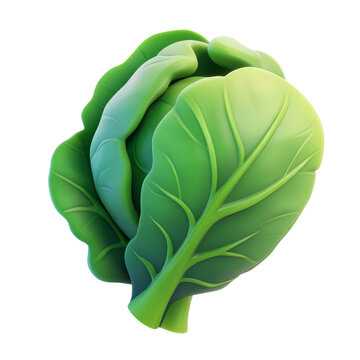 fresh green cabbage 3d render icon isolated on transparent background cutout