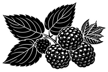 Wall Mural - Blackberry with leaves icon set