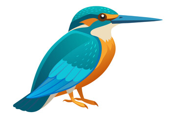 Beautiful bird kingfisher different posture vector art illustration