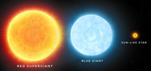 Wall Mural - Comparison of different stars on a black background. A red supergiant next to a blue giant and a sun-like star.