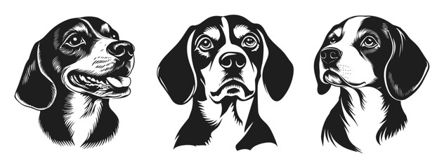 Poster - Beagle dog black silhouette portrait. Front and side view. With opened mouth and tongue hanging out. Hunting dog breed. Home pet animal. Simple black and white lynocut flat style. Isolated vector