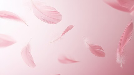 Wall Mural - Soft pink feathers gently floating against a gradient background, creating a serene atmosphere.