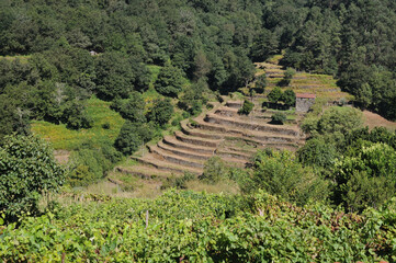 Terraces