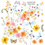 Watercolor clipart, hand draw meadow flowers, leaves, wildflowers, butterfly, bumblebee, dragonfly, floral arrangements, isolated on transparent background