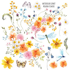 Watercolor clipart, hand draw meadow flowers, leaves, wildflowers, butterfly, bumblebee, dragonfly, floral arrangements, isolated on transparent background