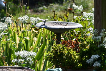 Wall Mural - Bird Bath in a Garden