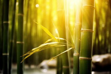 Sticker - Glowing bamboo stalks in the sunlight