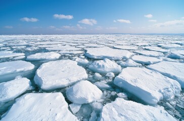 Wall Mural - Frozen sea with ice floes