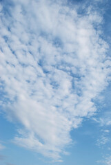 Wall Mural - gentle white clouds in the blue sky