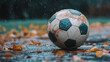 © Willem505 - Rainy Day Soccer: A weathered soccer ball sits alone on a wet, leaf-strewn path, evoking a sense of solitude and resilience. The rain pours down, blurring the background and creating a moody atmospher