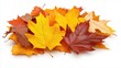 © Adriana - Pile of autumn colored leaves isolated on white background