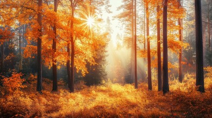 Poster - Golden autumn forest with vibrant orange and yellow leaves, sunlight filtering through the trees, peaceful and serene landscape scene