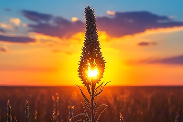Poster - A striking sunset illuminates a tall plant, casting its silhouette against the vibrant evening sky over a peaceful field. Generative AI