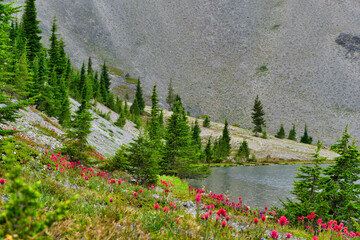 Wall Mural - lake in the mountains