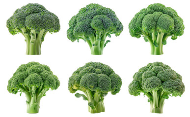 Fresh broccoli florets in multiple arrangements isolated on transparent background