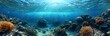 © Marco Mamdouh - 360 degree underwater scene, marine life. HDRI spherical panorama.