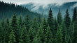 © Shades3d - Majestic Evergreen Forest: Foggy Landscape Photography
