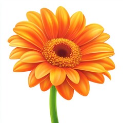 Wall Mural - vector graphic of an orange gerbera-daisy flower