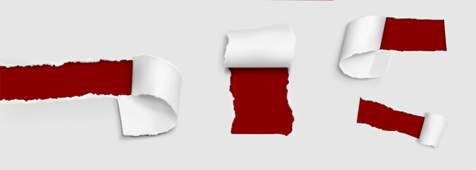 Poster - Torn paper holes with roll. Realistic vector illustration set of rip page frames. Reveal break cardboard sheet with grunge ragged edges with parchment scroll. Text and advertising message box.