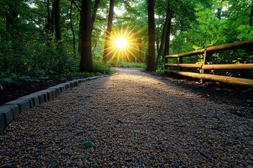 Poster - A serene woodland scene with an amber glow from the setting sun, illuminating the trees and casting a warm light on the path