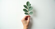 © Snap Stock Gallery - person holding a plant