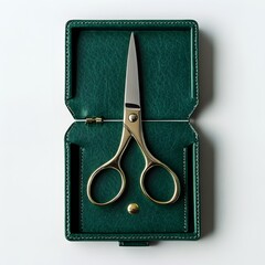 Poster - Elegant green scissors case placed at the center of a stark white background showcasing its sleek and minimalist design