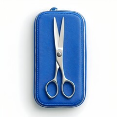 Poster - A minimalist and stylish blue scissors case placed at the center of a clean white studio background showcasing the simple yet elegant design of this functional office accessory