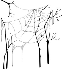 Wall Mural - torn spider web halloween hanging on branches isolated on white background. vector illustration