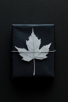 Minimalist, black gift box with a single, white leaf silhouette. 