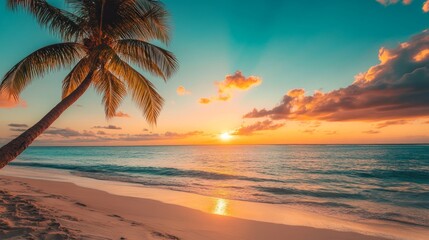 Wall Mural - Beautiful sunset tropical beach with palm tree and blue sky for travel and vacation in holiday relax time