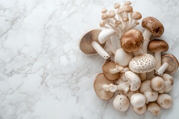 Wall Mural - Assorted fresh mushrooms on marble background