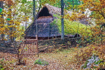 Wall Mural - Longhouse with thatched roof in a woodland at autumn