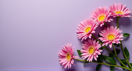 Wall Mural - pink and white flowers