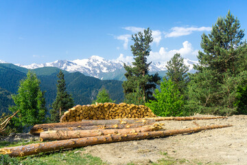 Wall Mural - Firewood stacked in a pile, tree logs at the edge of the road. Coniferous trees. Snowy mountain range in the background