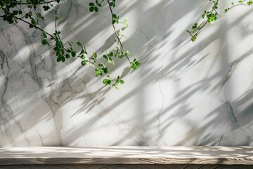 Aufkleber - A wooden platform against a white wall with a leafy branch casting shadows.