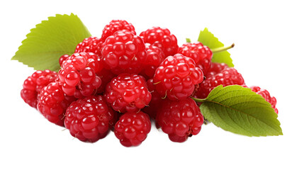 a group of red berries with green leaves

