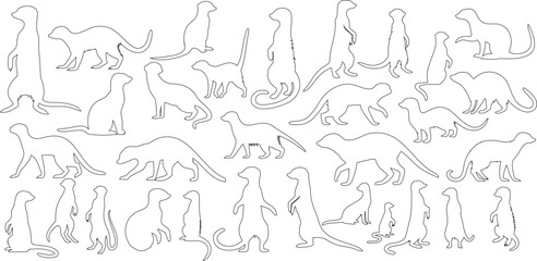 Wall Mural - meerkat sketch illustration outline set, animals, wild, wildlife, meerkat vector outline, standing, 