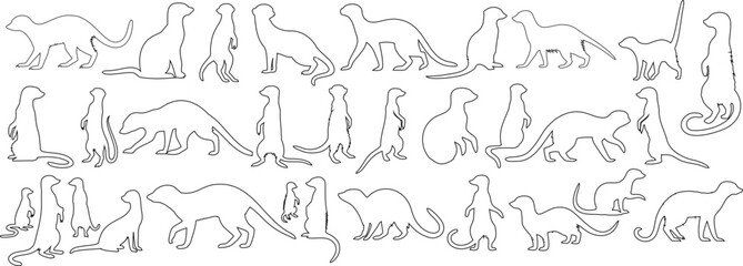 Wall Mural - meerkat line art silhouette, continuous outlines, vector illustration. standing, sitting, walking me
