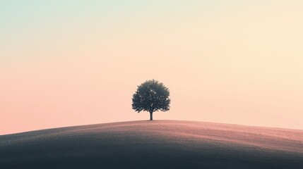 A minimalist landscape with a single tree standing in a vast field, set against a gradient sky. The simplicity of the scene creates a sense of peace and harmony, illustrating the beauty of minimalism