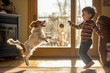 © alisluch - A joyful child playing with a small dog indoors, as they both jump excitedly for a ball in a warm, sunlit room