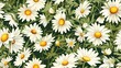 © Kultawatch - Vintage luxury seamless pattern of watercolor chamomile flowers, with warm yellow and pristine white blooms nestled among soft green leaves, evoking a sense of timeless elegance