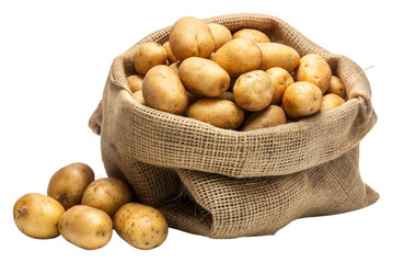 Freshly harvested potatoes in a burlap sack isolated on transparent background