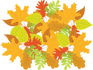 Wall Mural - pile of autumn foliage plants white background
