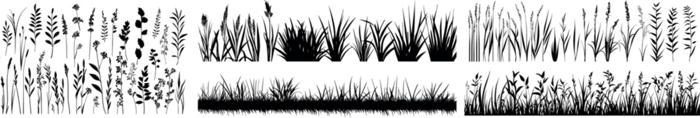 a set of black grass silhouettes. grass border. panorama of the lawn.