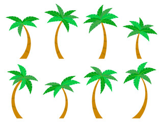 Wall Mural - palm trees icon set isolated on white background. collection of tropical palm trees with green folia