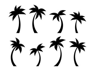 Wall Mural - black palm trees icon set isolated on white background. collection of tropical palm trees silhouette