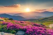 © Zaleman - This is an amazing landscape with blooming flowers at sunrise i