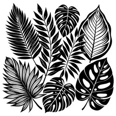 Sticker - A collection of various big tropical leaves